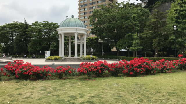 ヴェルニー公園の薔薇