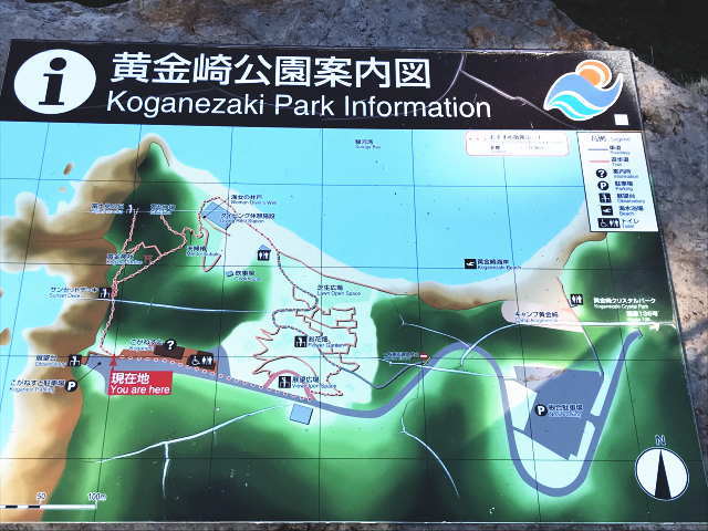 黄金崎公園案内図