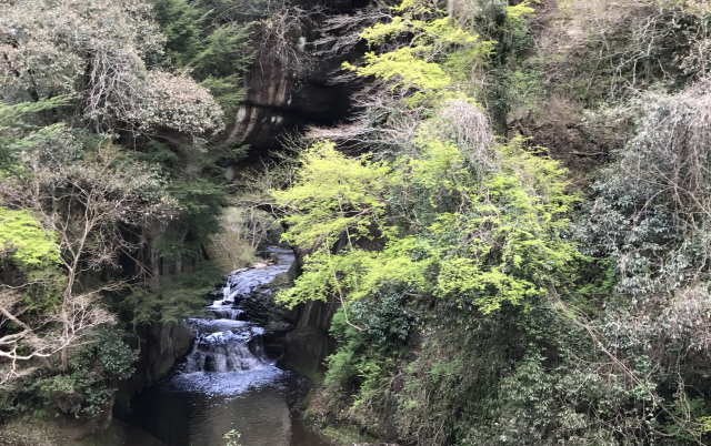 亀岩の洞窟