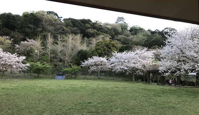 店内からの眺望