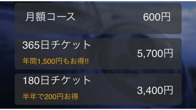 カーナビtタイムの利用料金