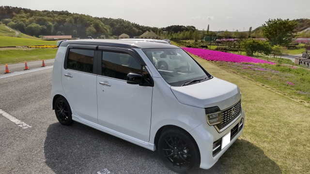 愛車と芝桜