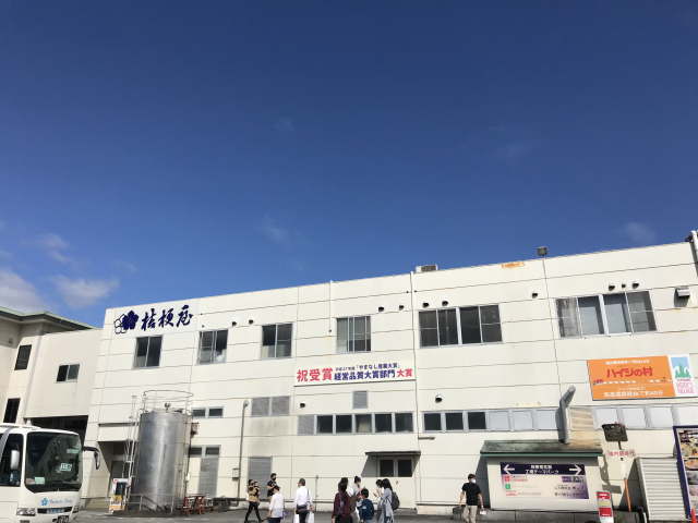 桔梗信玄餅工場テーマパーク入口正面