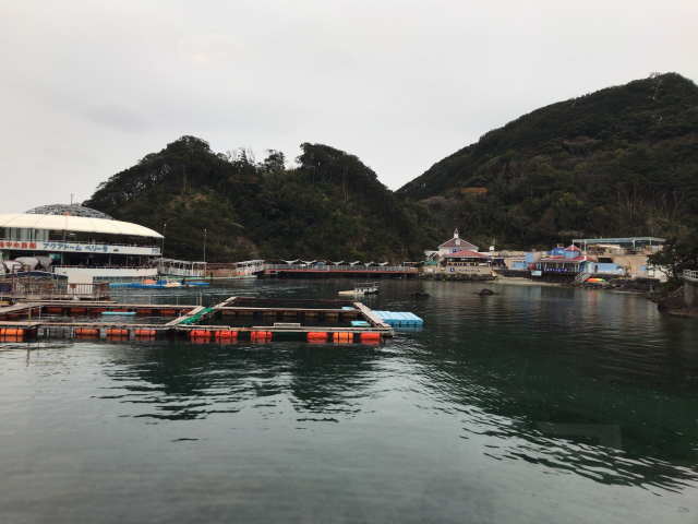 下田海中水族館の湾内