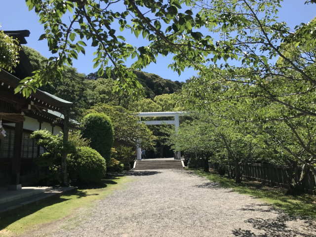 安房神社（あわじんじゃ）の参道