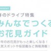 春のドライブとお花見情報